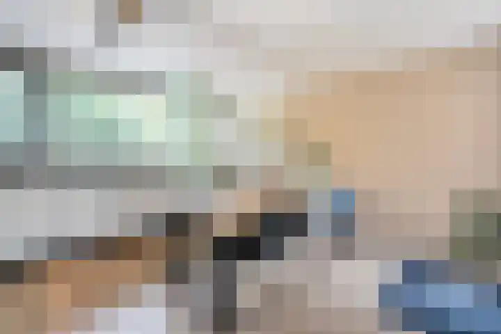 Blaaszegge 32 Zwolle thumbnail 15