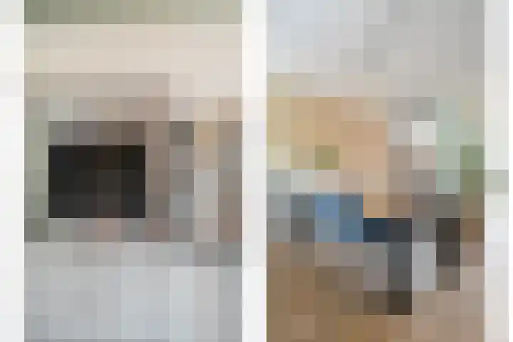 Blaaszegge 32 Zwolle thumbnail 20