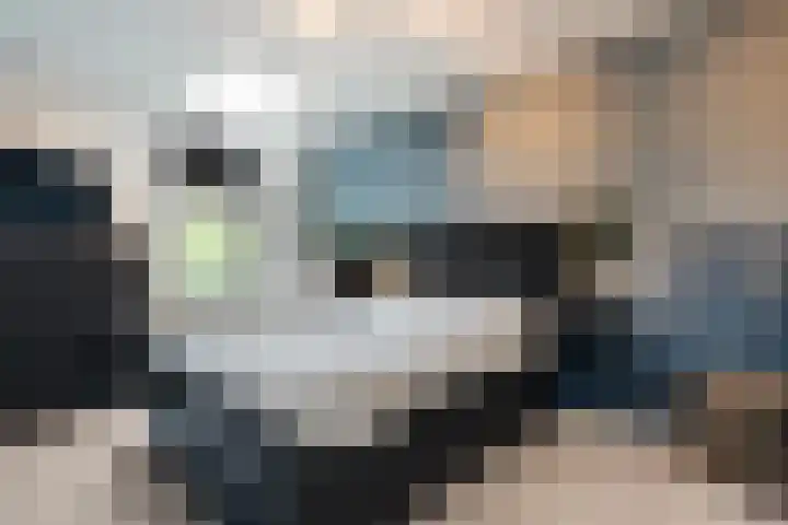Blaaszegge 32 Zwolle thumbnail 22