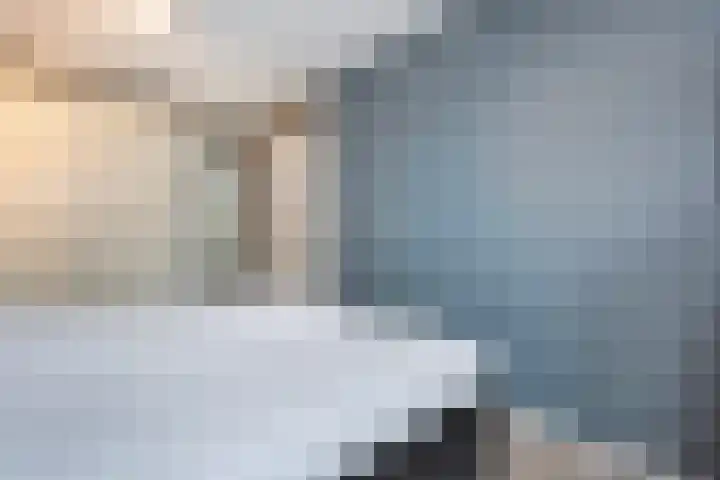 Blaaszegge 32 Zwolle thumbnail 23