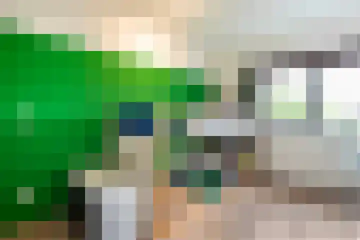Blaaszegge 32 Zwolle thumbnail 24