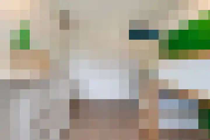 Blaaszegge 32 Zwolle thumbnail 25