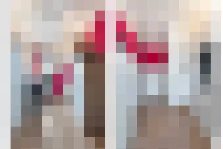 Blaaszegge 32 Zwolle thumbnail 26