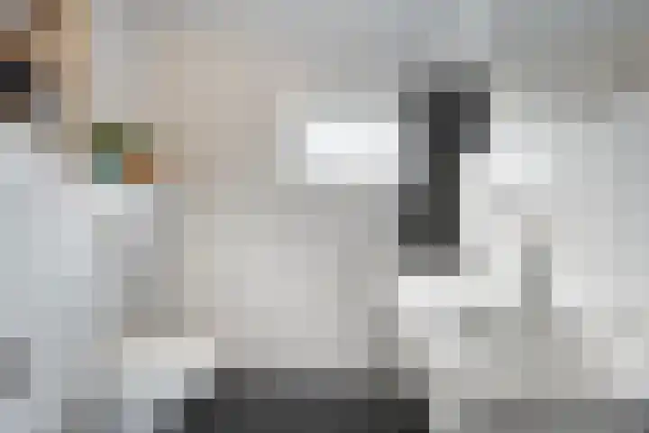 Blaaszegge 32 Zwolle thumbnail 27