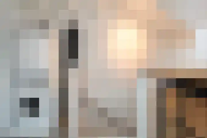 Blaaszegge 32 Zwolle thumbnail 30