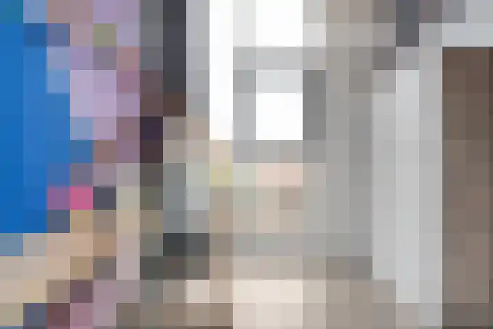 Blaaszegge 32 Zwolle thumbnail 32