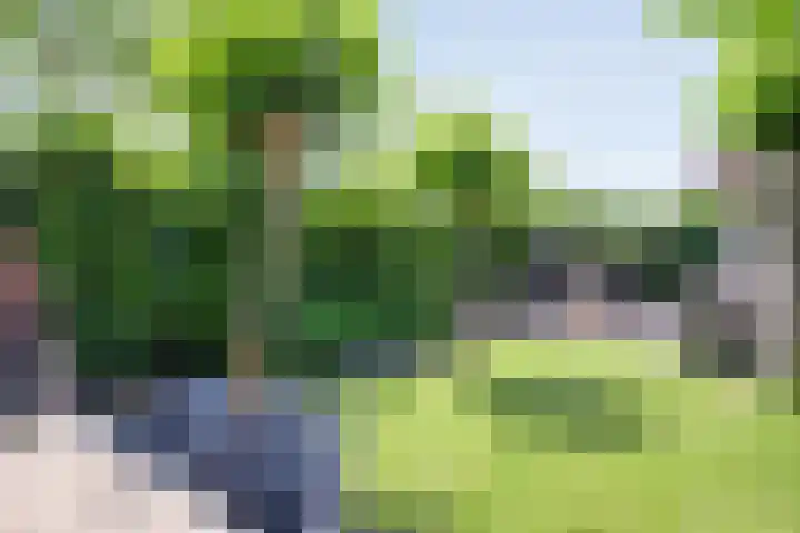 Blaaszegge 32 Zwolle thumbnail 33