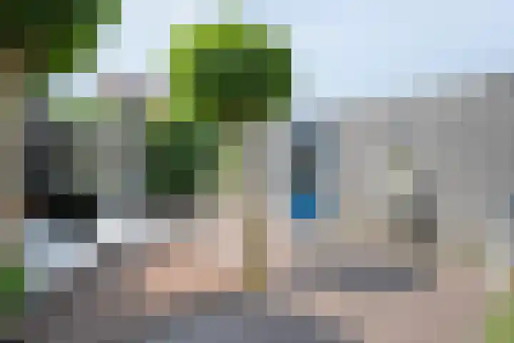 Blaaszegge 32 Zwolle thumbnail 37