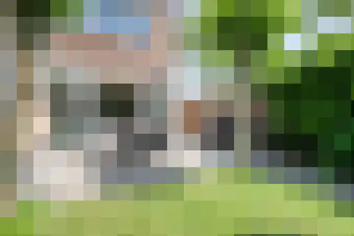 Blaaszegge 32 Zwolle thumbnail 38