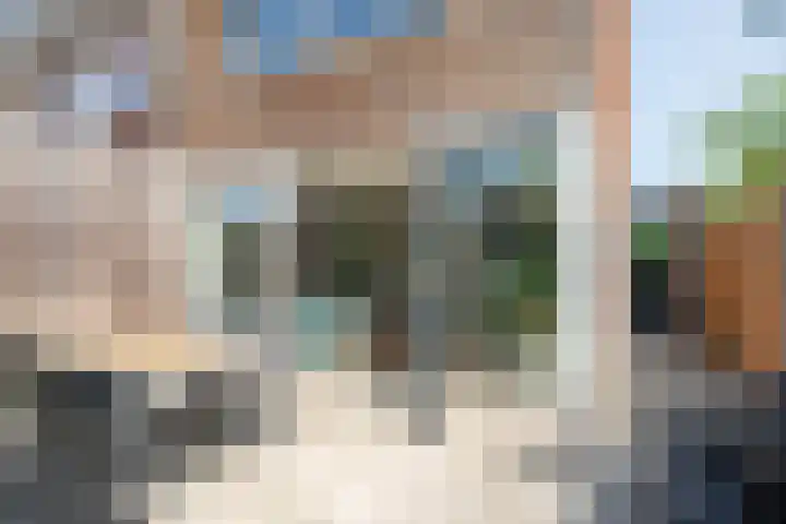 Blaaszegge 32 Zwolle thumbnail 39