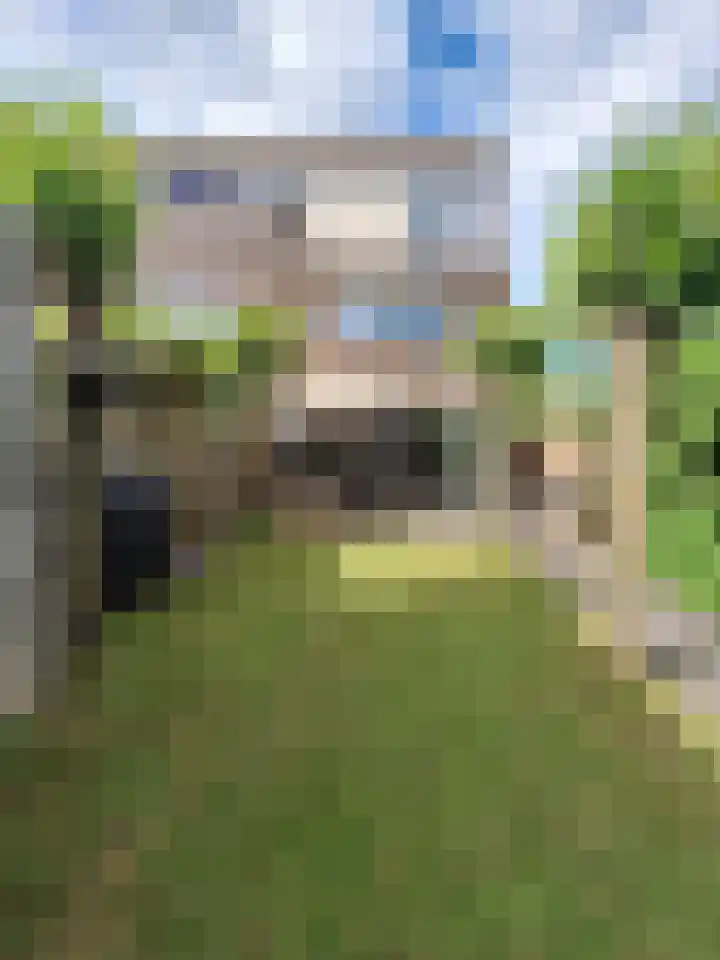Blaaszegge 32 Zwolle thumbnail 46
