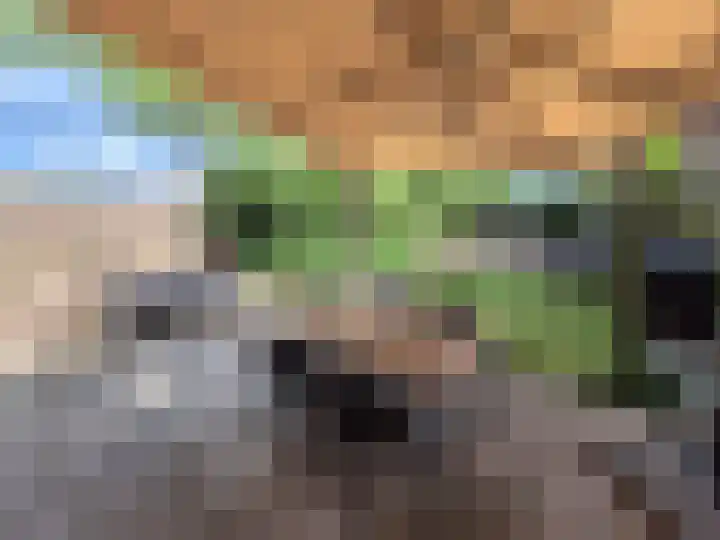 Blaaszegge 32 Zwolle thumbnail 47