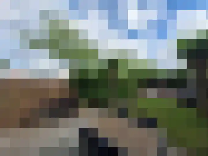 Blaaszegge 32 Zwolle thumbnail 48