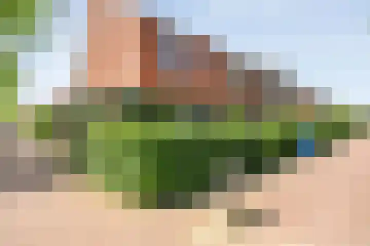 Blaaszegge 32 Zwolle thumbnail 49