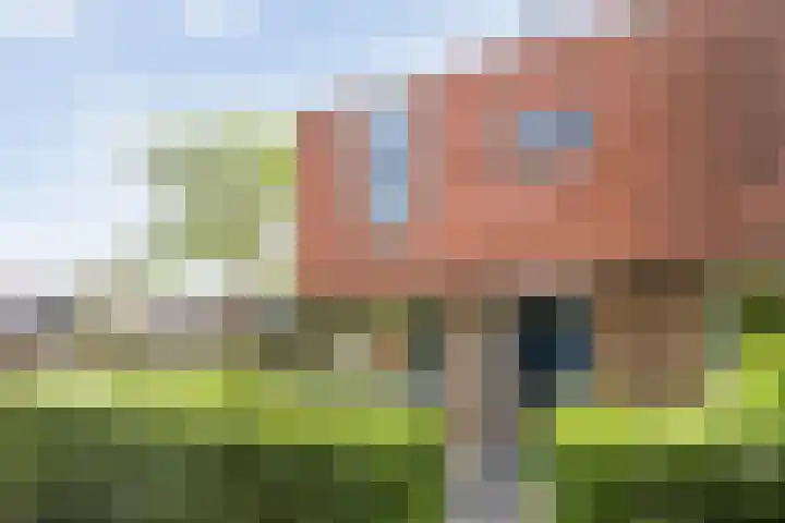 Blaaszegge 32 Zwolle thumbnail 7