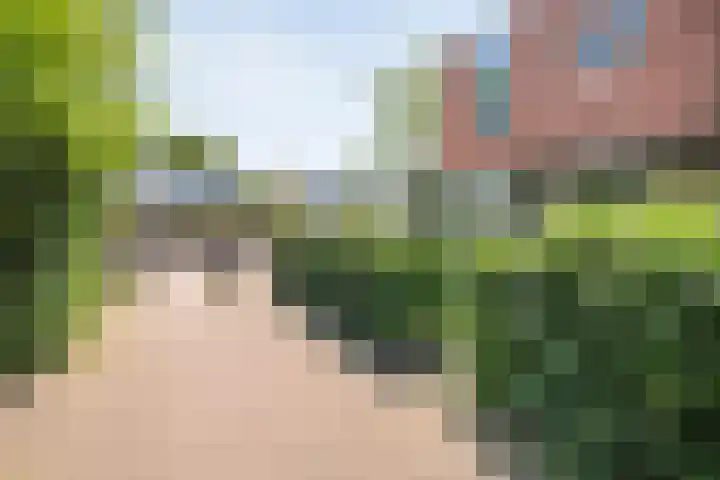 Blaaszegge 32 Zwolle thumbnail 8
