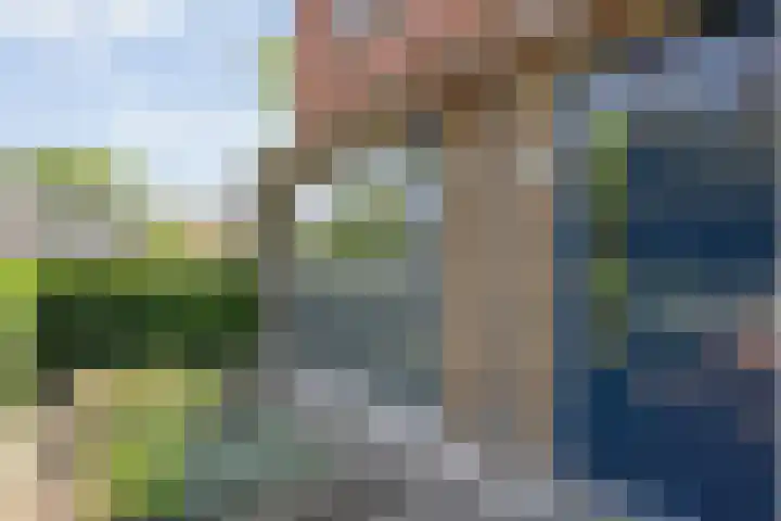 Blaaszegge 32 Zwolle thumbnail 9
