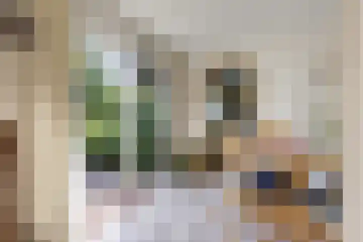 Blaauwhoflaan 34 Joure thumbnail 12