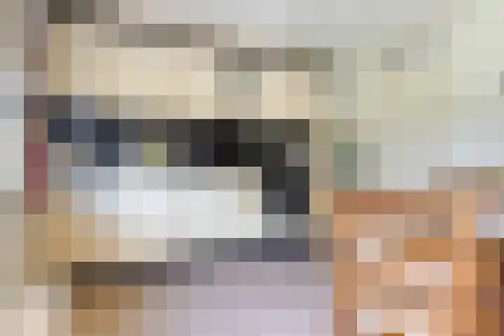 Blaauwhoflaan 34 Joure thumbnail 13