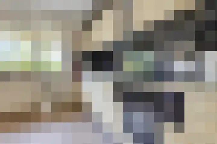 Blaauwhoflaan 34 Joure thumbnail 14