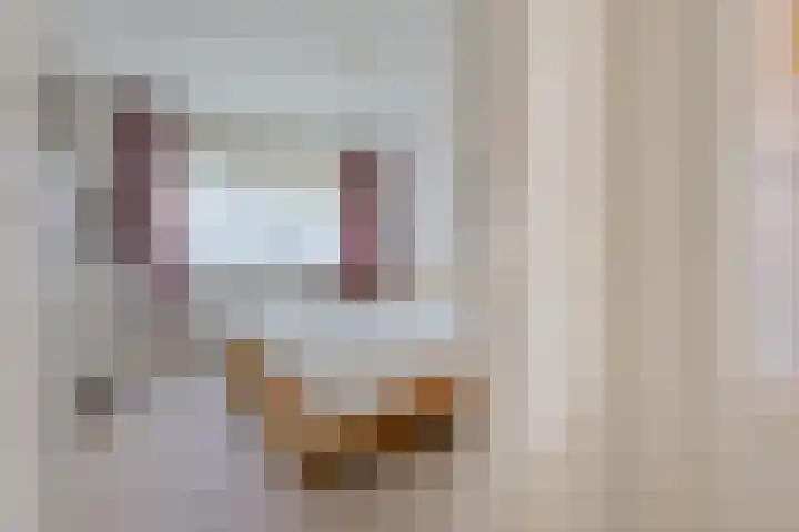 Blaauwhoflaan 34 Joure thumbnail 17