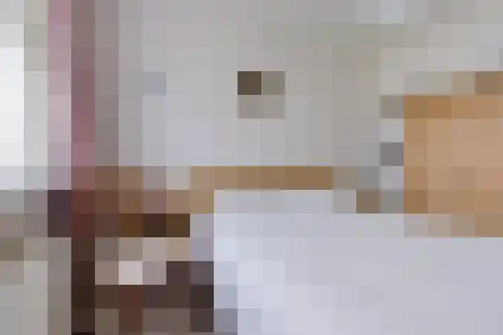 Blaauwhoflaan 34 Joure thumbnail 18