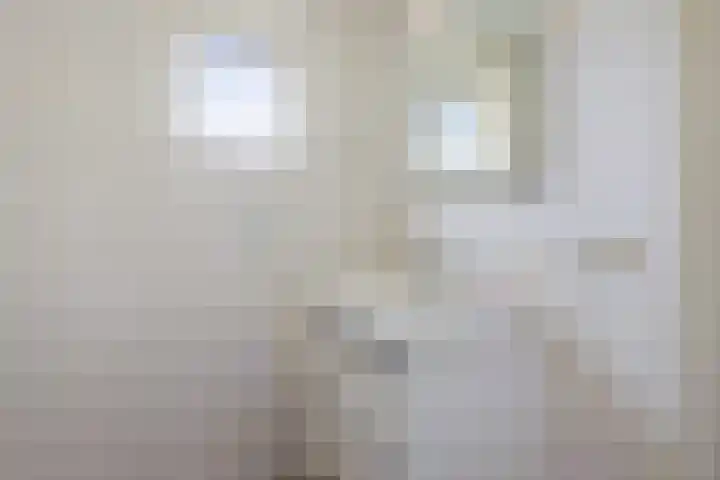 Blaauwhoflaan 34 Joure thumbnail 23
