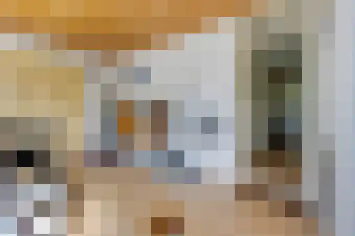 Blaauwhoflaan 34 Joure thumbnail 24