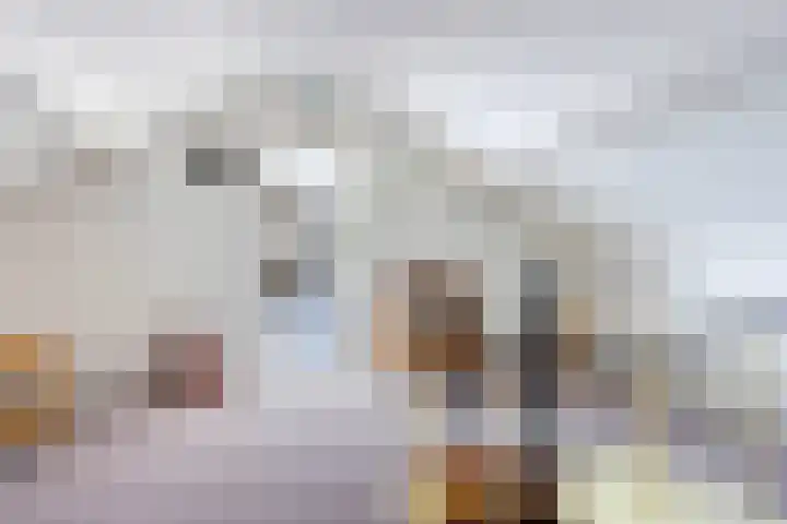 Blaauwhoflaan 34 Joure thumbnail 28