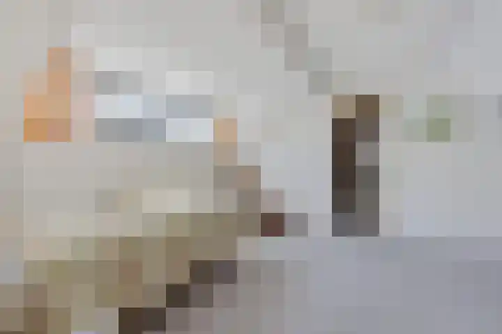 Blaauwhoflaan 34 Joure thumbnail 29