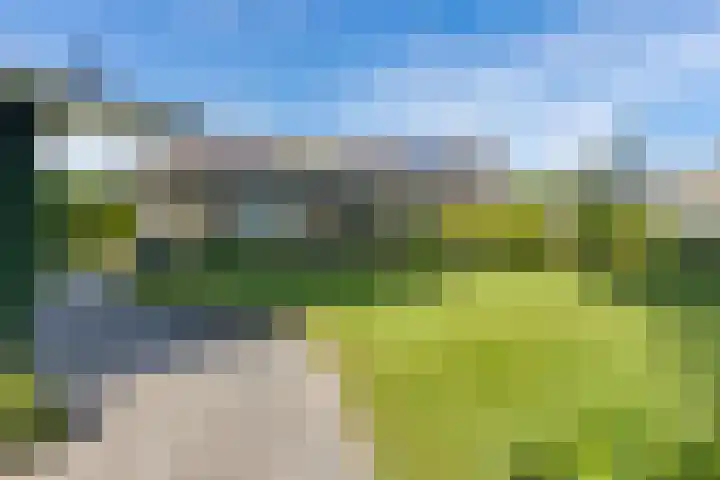 Blaauwhoflaan 34 Joure thumbnail 31