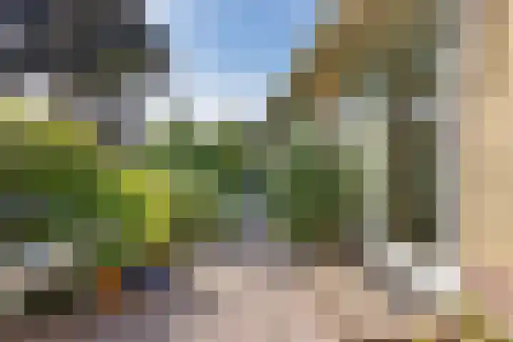 Blaauwhoflaan 34 Joure thumbnail 32