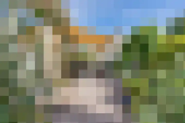 Blaauwhoflaan 34 Joure thumbnail 33