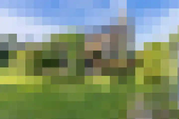 Blaauwhoflaan 34 Joure thumbnail 34