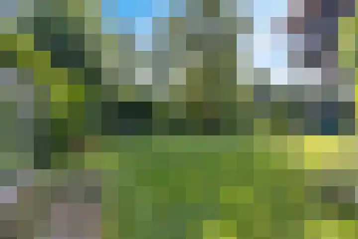 Blaauwhoflaan 34 Joure thumbnail 35