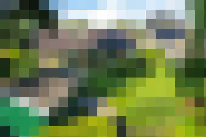 Blaauwhoflaan 34 Joure thumbnail 36