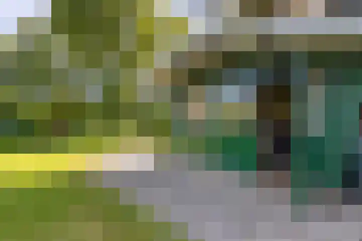 Blaauwhoflaan 34 Joure thumbnail 38