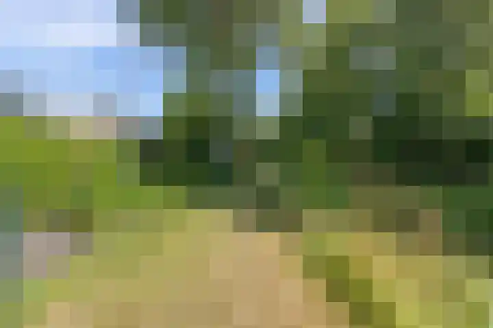 Blaauwhoflaan 34 Joure thumbnail 39