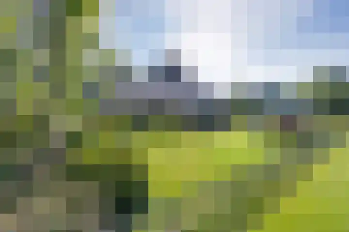 Blaauwhoflaan 34 Joure thumbnail 4