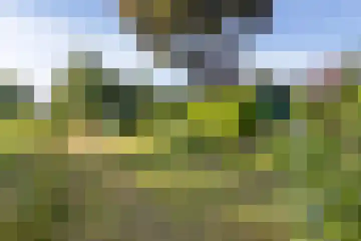 Blaauwhoflaan 34 Joure thumbnail 40