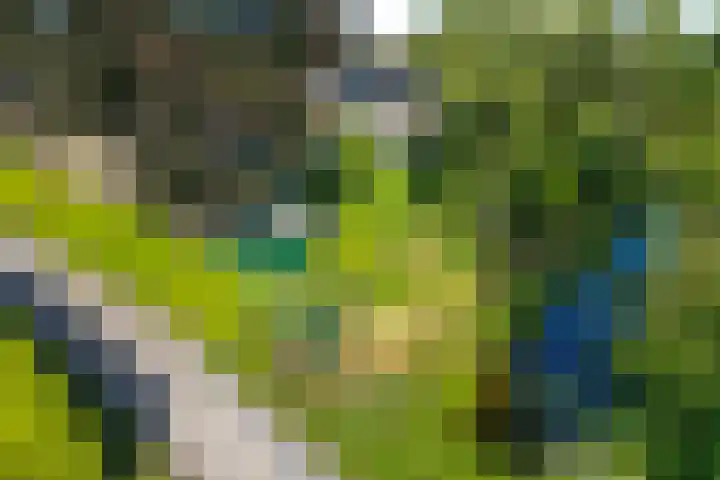 Blaauwhoflaan 34 Joure thumbnail 41