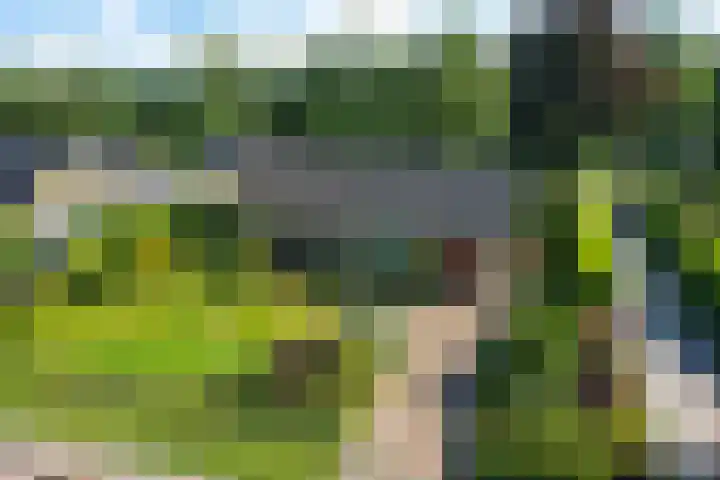 Blaauwhoflaan 34 Joure thumbnail 42