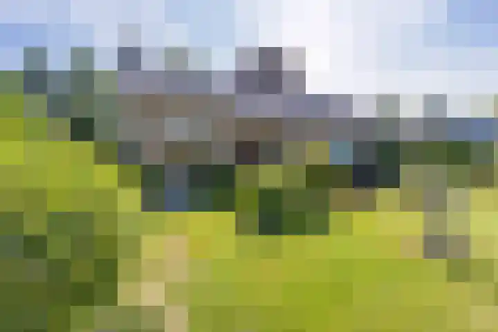 Blaauwhoflaan 34 Joure thumbnail 44