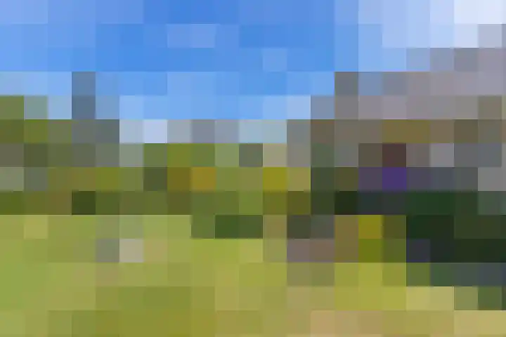 Blaauwhoflaan 34 Joure thumbnail 45