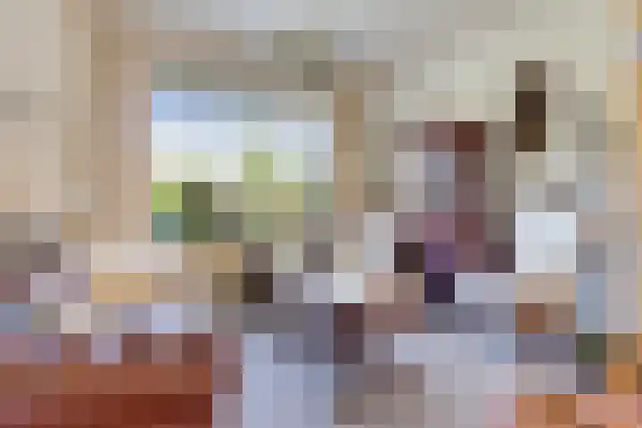 Blaauwhoflaan 34 Joure thumbnail 7