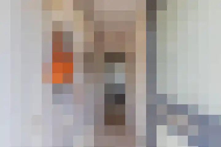 Blaauwhoflaan 39 Joure thumbnail 11