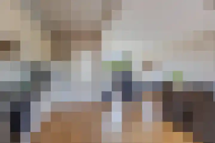 Blaauwhoflaan 39 Joure thumbnail 14