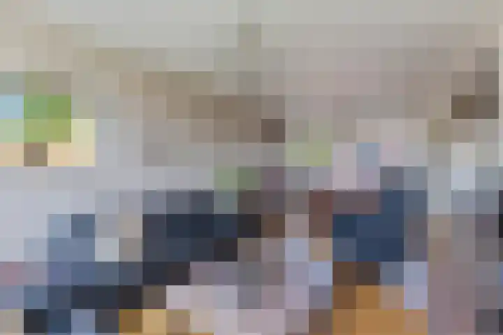 Blaauwhoflaan 39 Joure thumbnail 17