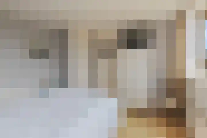 Blaauwhoflaan 39 Joure thumbnail 30