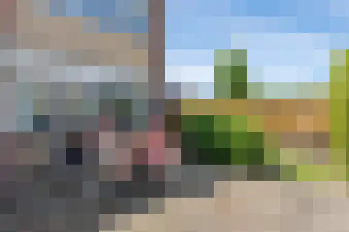 Blaauwhoflaan 39 Joure thumbnail 32